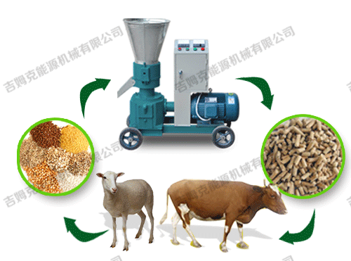 顆粒機(jī)、動物、顆粒