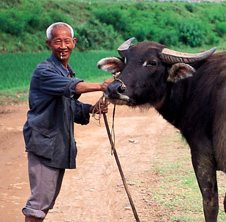 小型飼料顆粒機,農民圓夢！